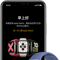 如何在 Apple Watch 上设置蜂窝网络？-爱锋贝 正品二手手机批发