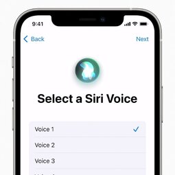 iOS 14.5 Siri 有新改進：新增語音選項，支持呼叫緊急聯(lián)系人