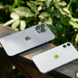 苹果通知授权店：某些 iPhone 12 硬件问题不需要再更换整个设备-爱锋贝 正品二手手机批发