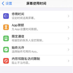 iOS 14 如何通过“屏幕使用时间”限制访问应用？-爱锋贝 正品二手手机批发