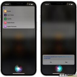 iOS 14.5 新功能：更改默认的音乐应用-爱锋贝 正品二手手机批发